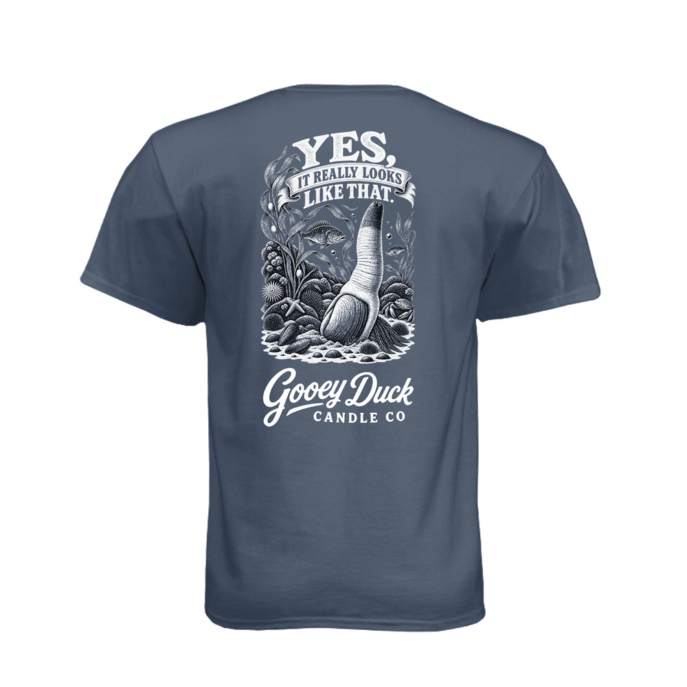 Legion blue geoduck tee with ‘Yes, It Really Looks Like That’ artwork, back view